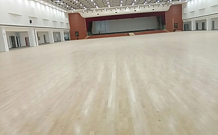 專業的風雨操場地板哪個品牌好？